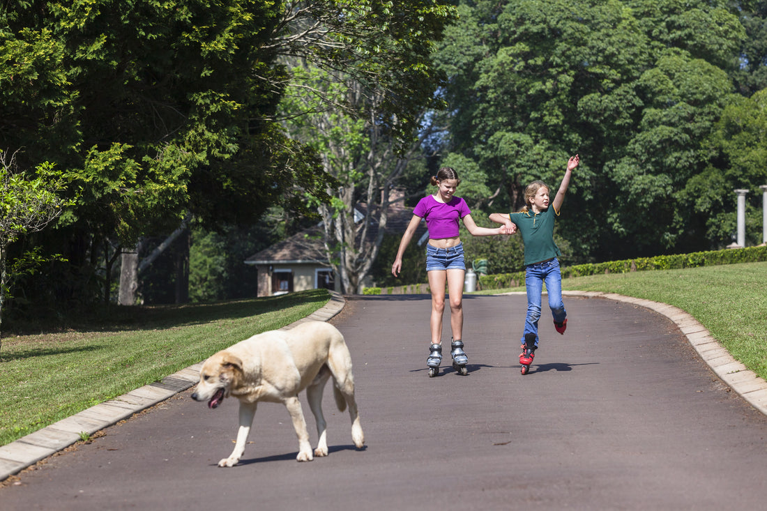 Driveway Alert Systems and Why You Need One