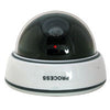 SC 110 DM 5 Dummy Dome with Binking Light